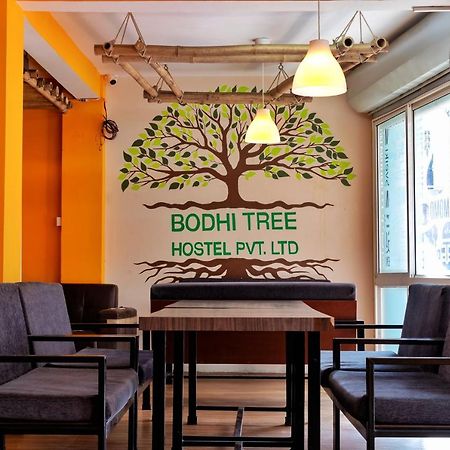Bodhi Tree Hostel Katmandu Eksteriør bilde