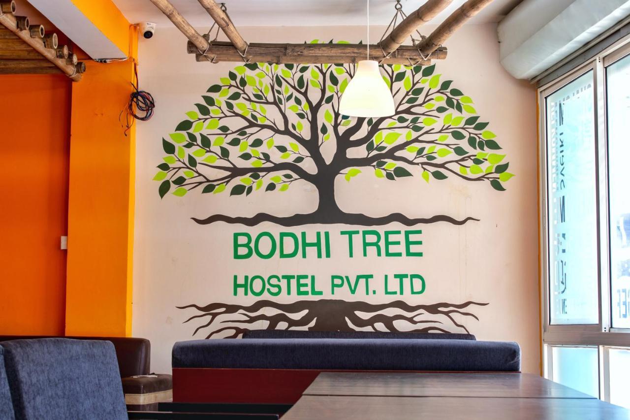 Bodhi Tree Hostel Katmandu Eksteriør bilde