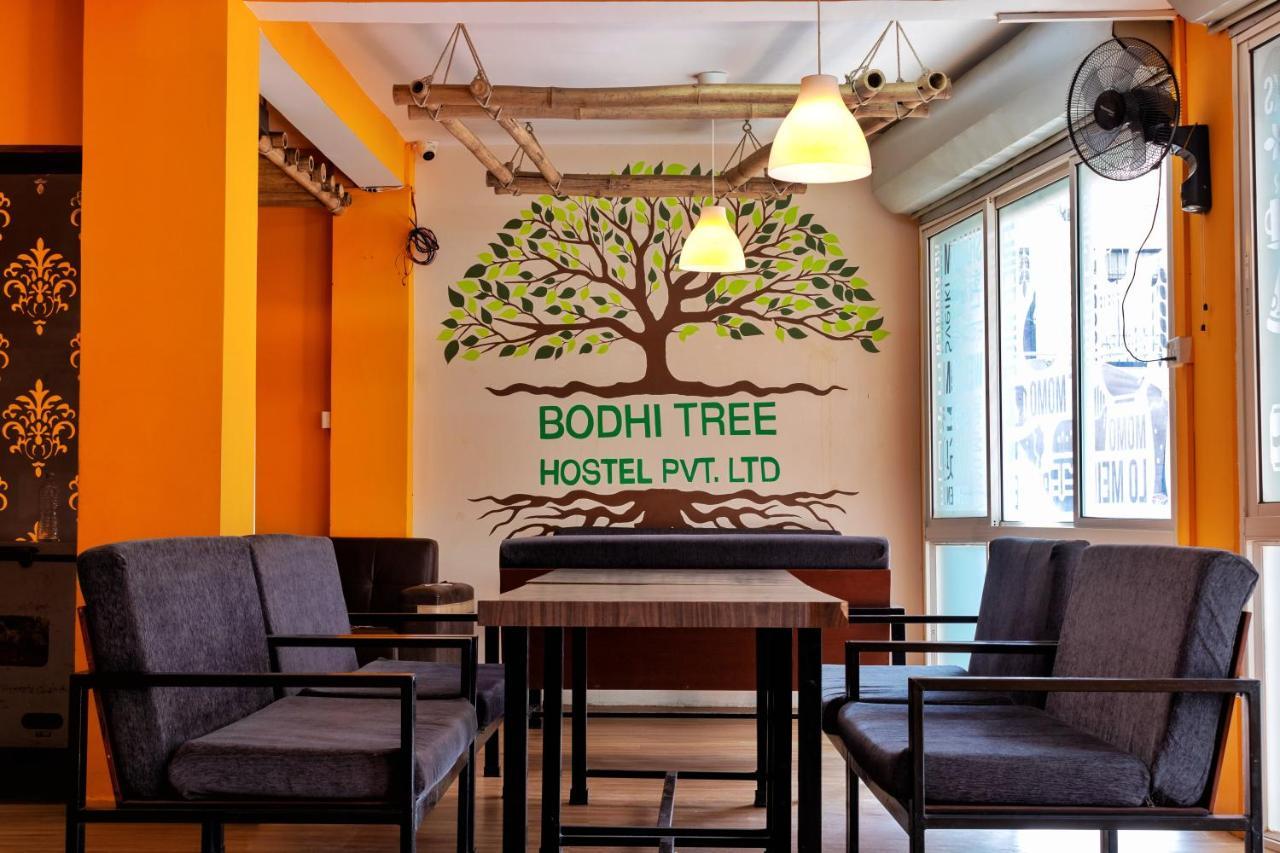 Bodhi Tree Hostel Katmandu Eksteriør bilde