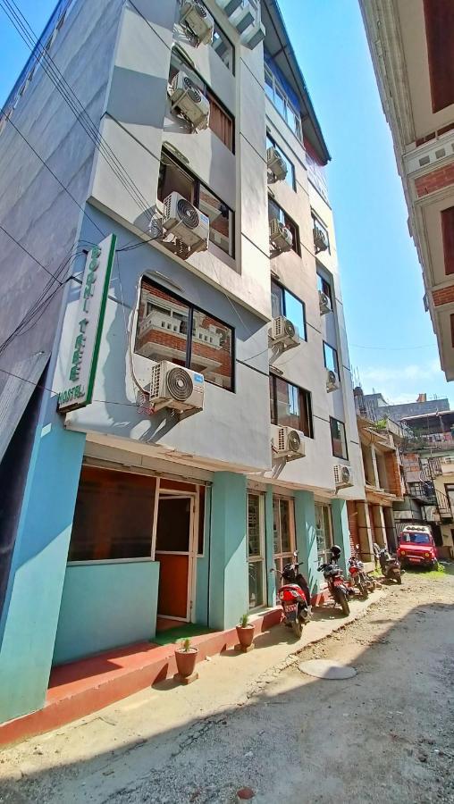 Bodhi Tree Hostel Katmandu Eksteriør bilde